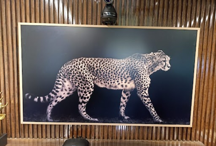 televison-screen-tiger
